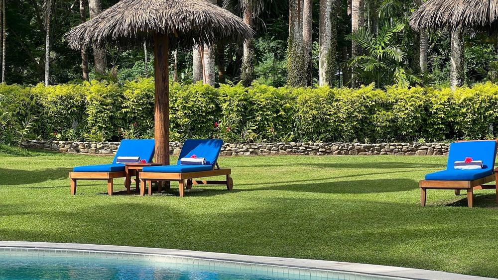 Pool area with lounge chairs under thatched umbrellas at Tambua Sands Beach Resort in Sigatoka.