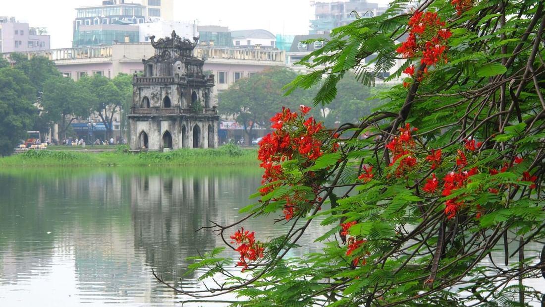 View of Hoàn Kiếm Lake through a tree near Sunway Hotel Hanoi