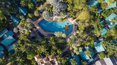 Coconut Pool