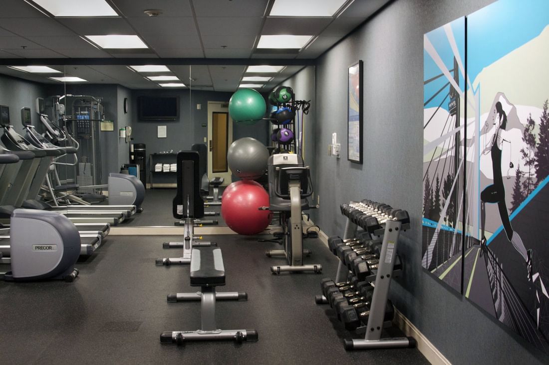 Paramount fitness center online home gym