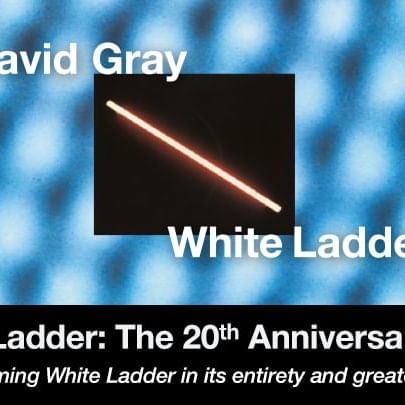 Poster of David Grey White ladder show near Brady Hotels
