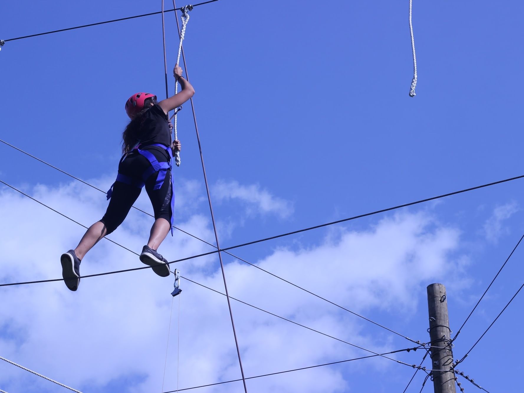 Woman engaged in high rope course near Honor’s Haven