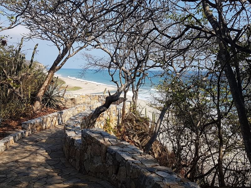 Parque Ecológico Copalita