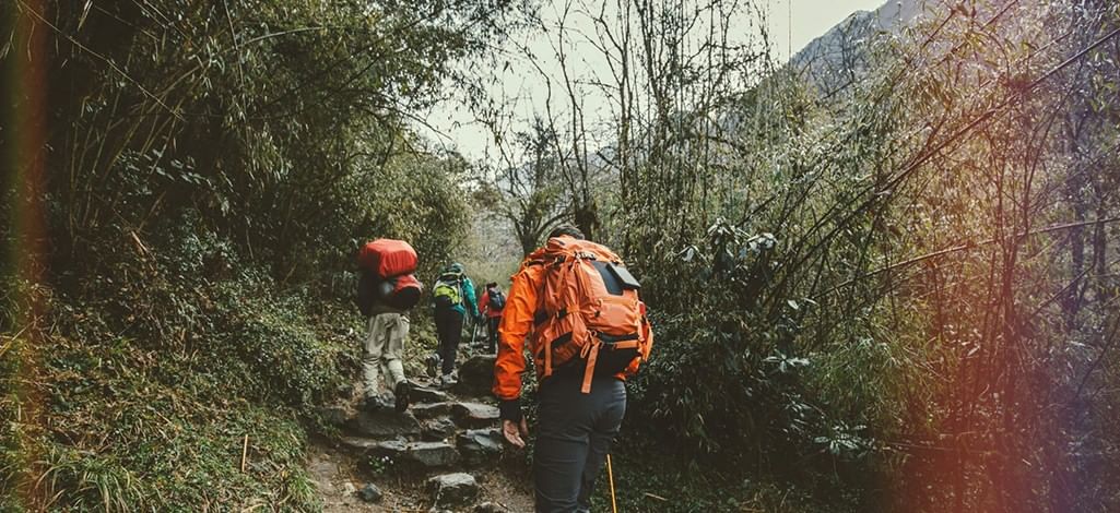 A group of people in hiking gear traverse an easy hiking trail in Canmore.