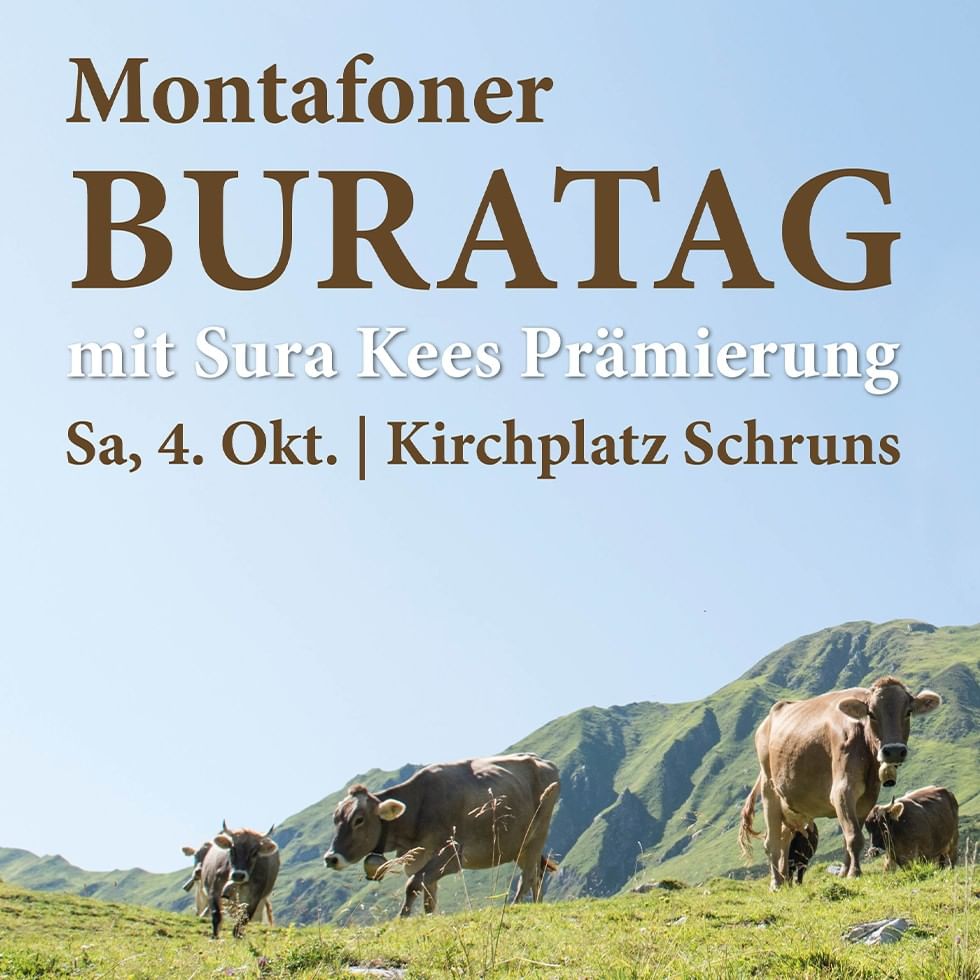Kühe auf grünem Berg mit Text: Montafoner BURATAG mit Sura Kees Prämierung.