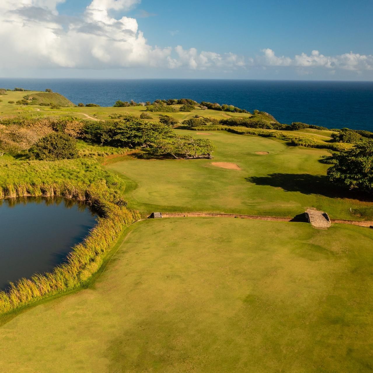 drone shot of Royal Isabela golf course with cliffside ocean view