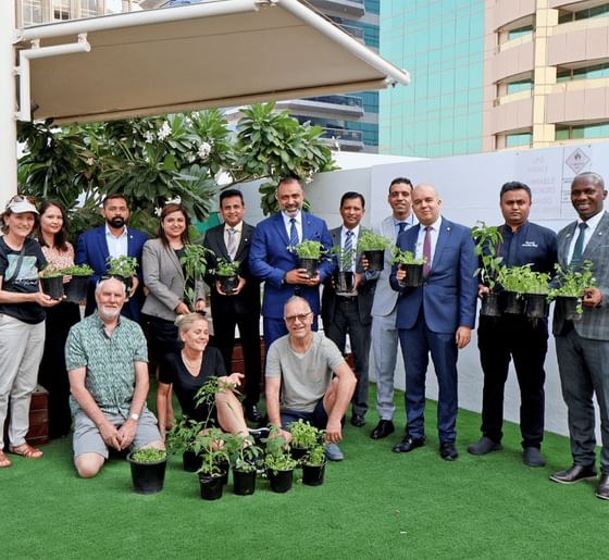 Energy Efficiency at The Tower Plaza Hotel Dubai