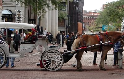 a horse drawn carriage