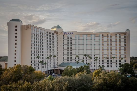 Exterior view of Rosen Plaza Hotel with rows of room windows and mature palm trees at the entrance near Rosen Inn Hotels