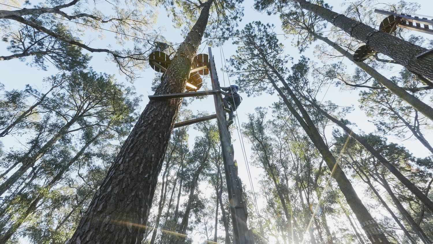 High Ropes & Zip Lining near Pullman Bunker Bay Resort