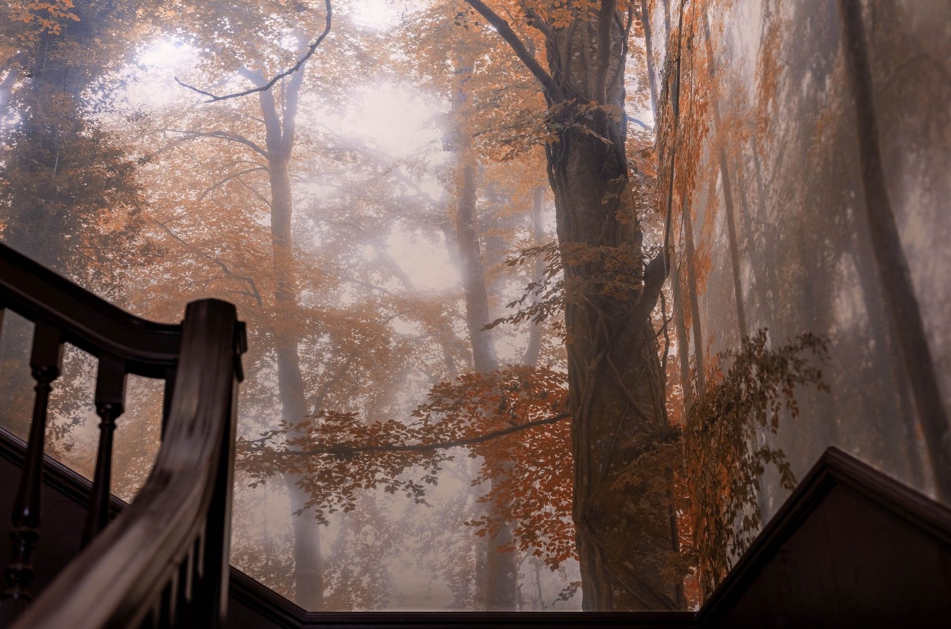 Wallpaper mural of a misty, autumnal forest by a wooden staircase at The Capital Hotel, Apartments and Townhouse