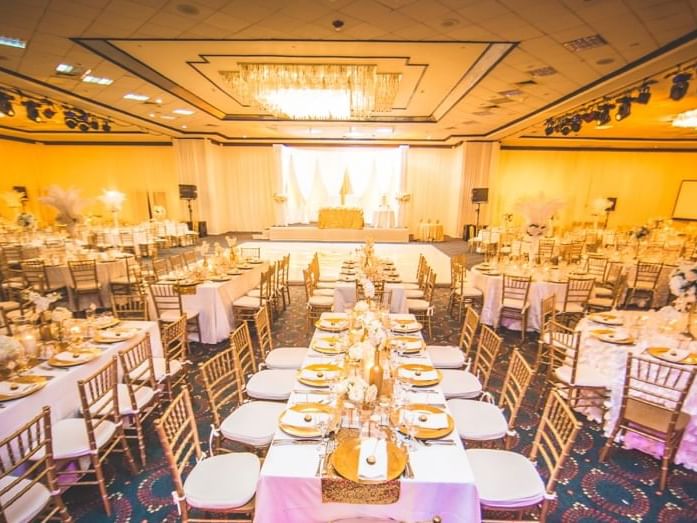 Wedding reception with a dance floor at Jamaica Pegasus Hotel