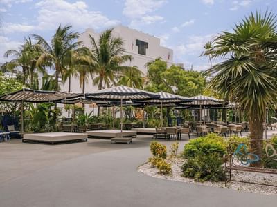 Outdoor lounge area with cabana beds, and umbrellas under palm trees at Kenmore Village Hotel, Art Deco District of Miami