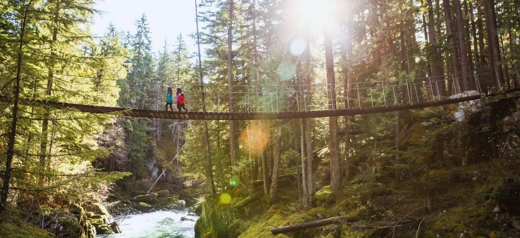 Visitors walking across a suspension bridge in Whistler forest with sunbeams shining through, highlighting outdoor hiking and eco-adventure activities.