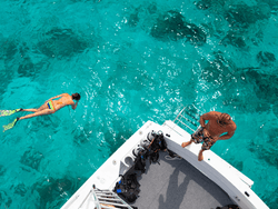 Woman snorkeling next to dive boat in Key Largo near Bayside Inn Key Largo