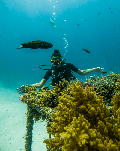 Guest diving underwater near the corals at Grand Park Kodhipparu, Maldives