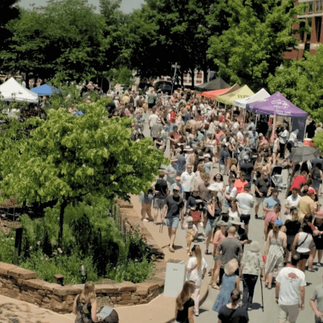 A crowd of festival goers wandering the strawberry feilds with local sellers