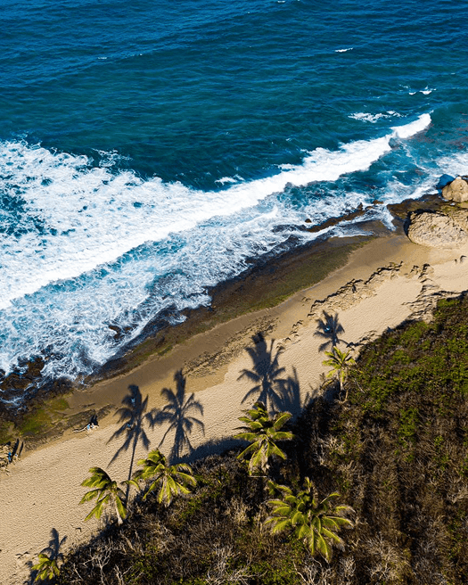 Aerial view of a sandy beach cove with palm tree shadows, bordered by jungle, meeting the blue ocean waves near Royal Isabela