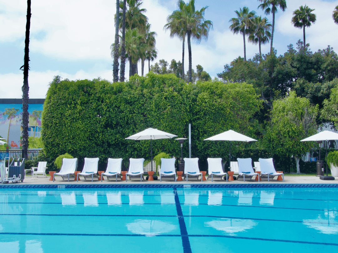 Pool in foreground with lounge chairs