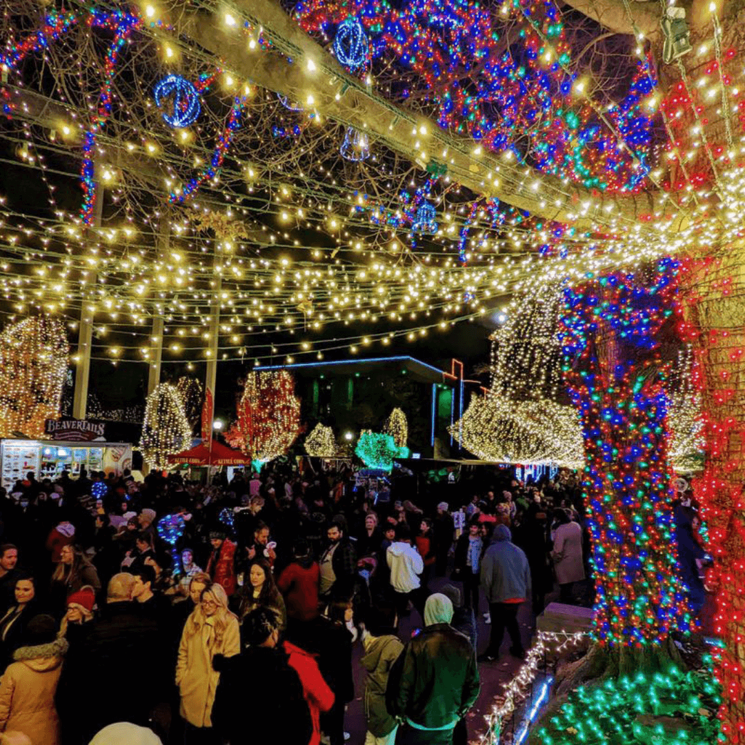 People strolling through the street watching a parade of holiday theme lights. 