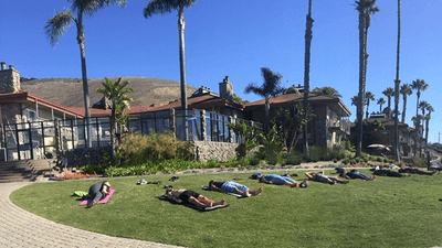 a group of people lying on grass doing yoga