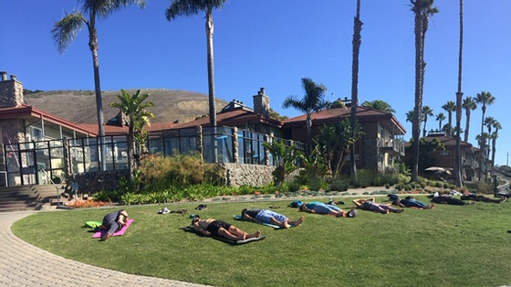 a group of people lying on grass