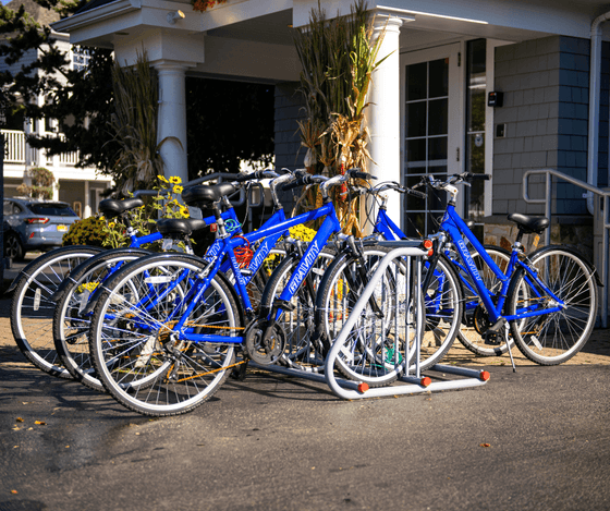 Bicycles at Anchorage By The Sea