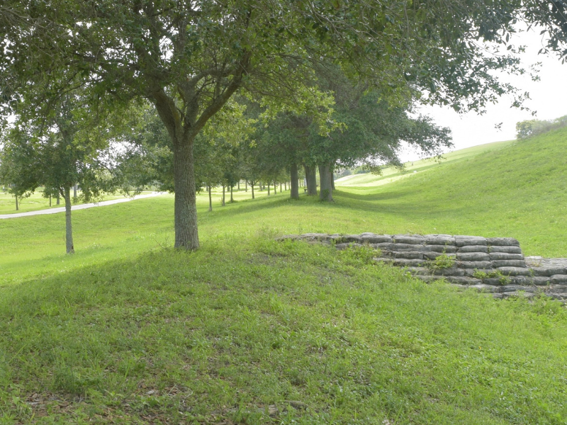 Visit the beautiful Cambier Park near the Cove Inn Hotel in Naples Bay, Florida.