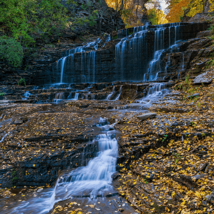 waterfall with fall foliage