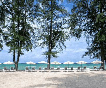 Sunbeds and patio umbrellas lined by the beach on a sunny day at Amora Hotel