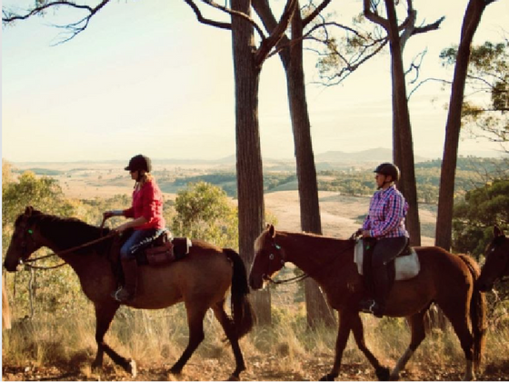 People riding horses with a mountain view, Nesuto Canberra