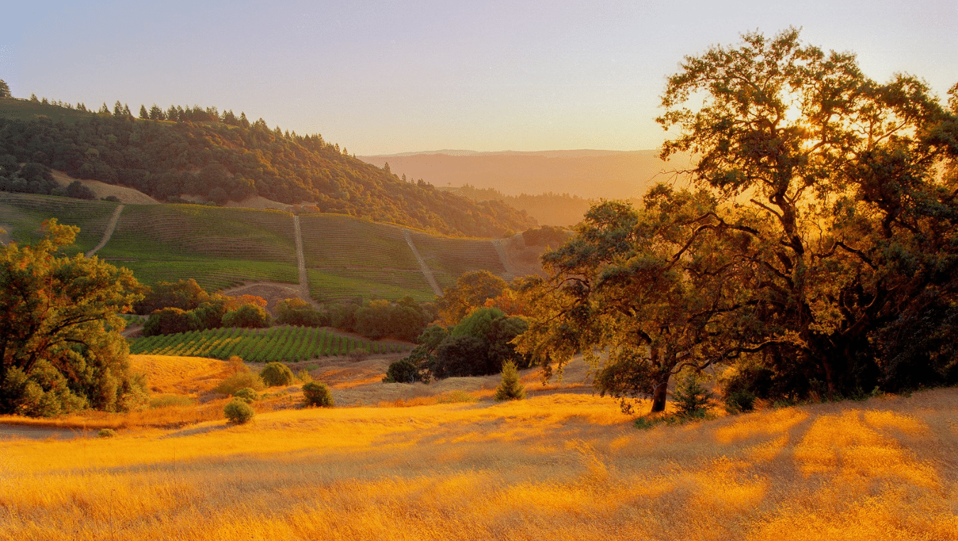 Boston Wine & Food Festival