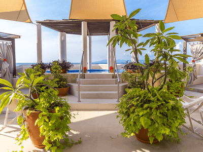 Outdoor pool entrance with steps and plants between in Shakti Spa at Buenaventura Grand Hotel and Spa