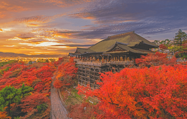 Autumn Kyoto | Best Hotel Kyoto | Park Hotel Kyoto
