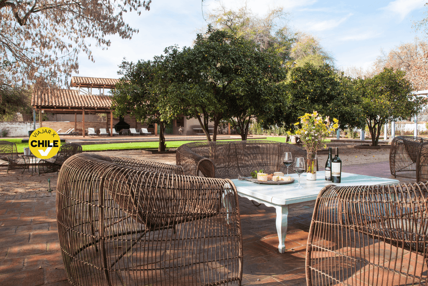 Woven chairs by a table under a canopy of citrus trees in Ensamblaje Restaurant, at NOI Blend Colchagua, Valley, Chile