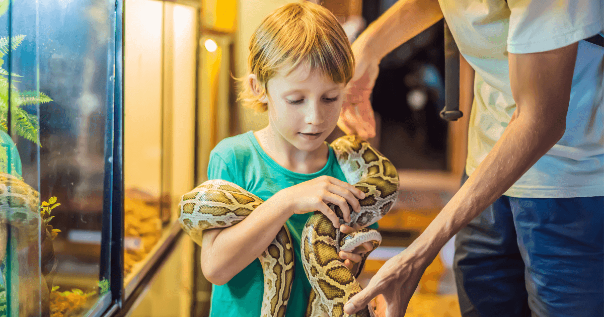 There’s plenty of curious creatures at Auckland Zoo!