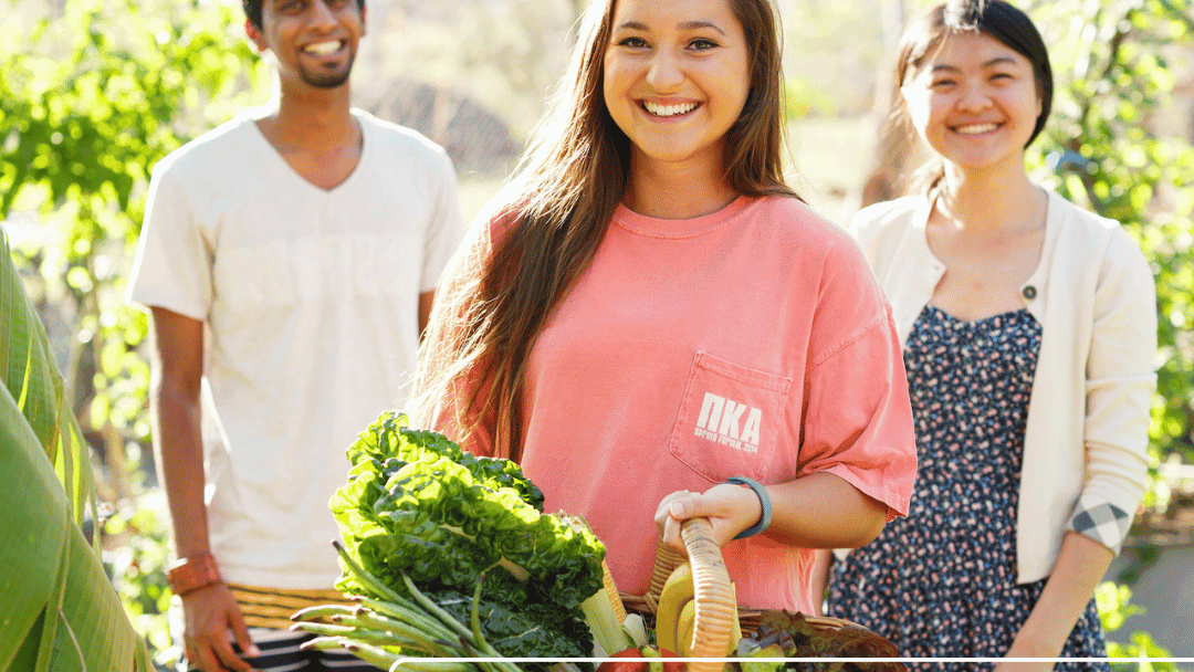 JCU Halls of Residence – Rotary International House