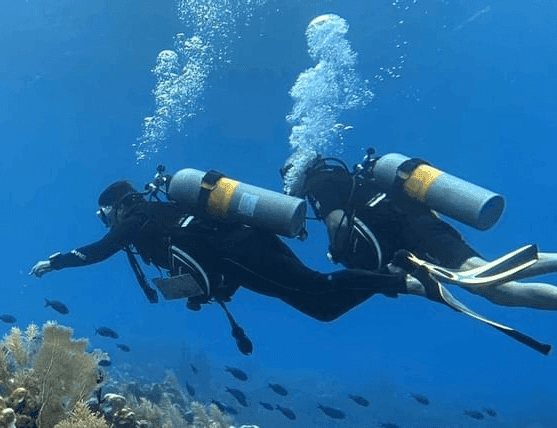 Two scuba divers under the sea at Ibagari Boutique Hotel