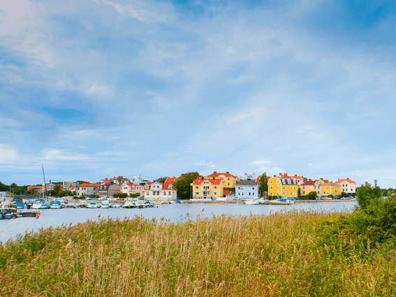Våren kommer tidigt till Karlskrona