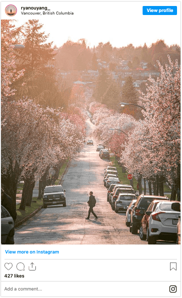 The Best Places To See Spring Blossoms In Vancouver