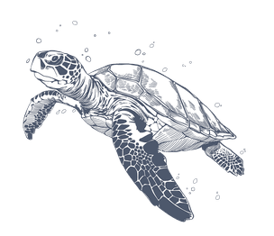 Artistic illustration of a sea turtle swimming with bubbles on a black background at Warwick Fiji Coral Coast