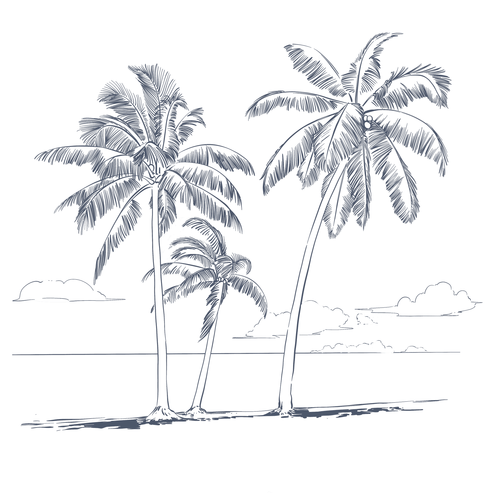 Black and white sketch of three palm trees with clouds in the background at Warwick Paradise Island Nassau Bahamas