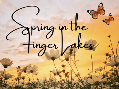 Spring Special - 2 nights 15% off