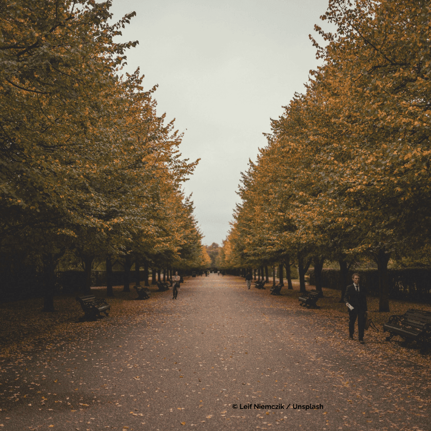 Regent's park