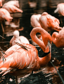 Gourmetküche im Ibiza Gran Hotel