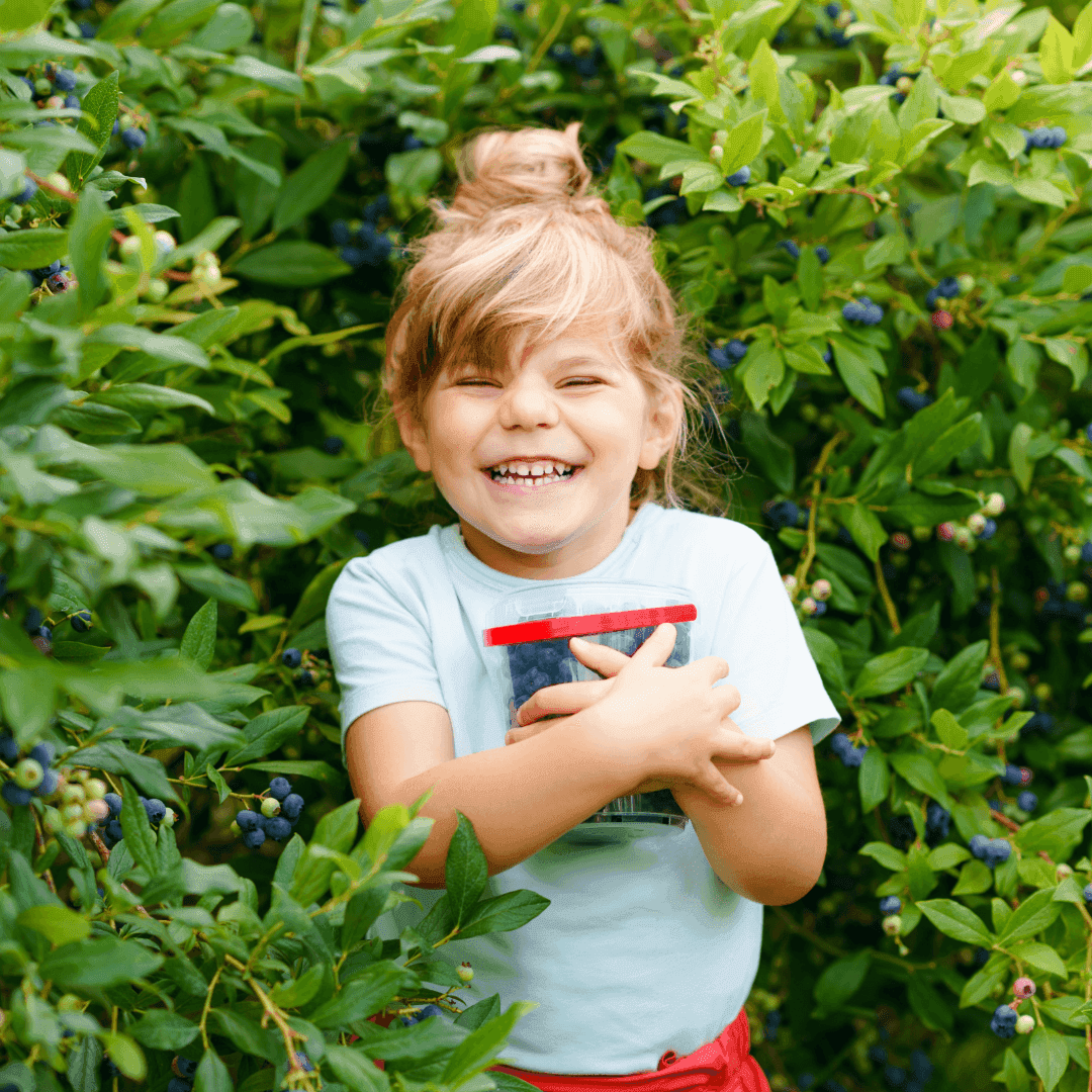 A smiling child holding a container of blueberries in a blueberry field.