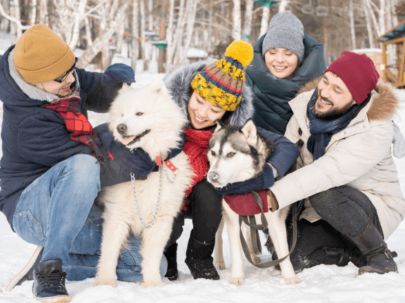 Furry friends welcome at The Earl Charlevoix