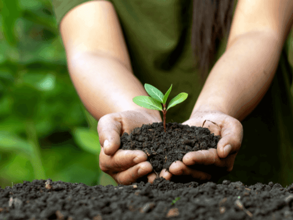 Clean for Green Sustainability at Mercure Gold Coast