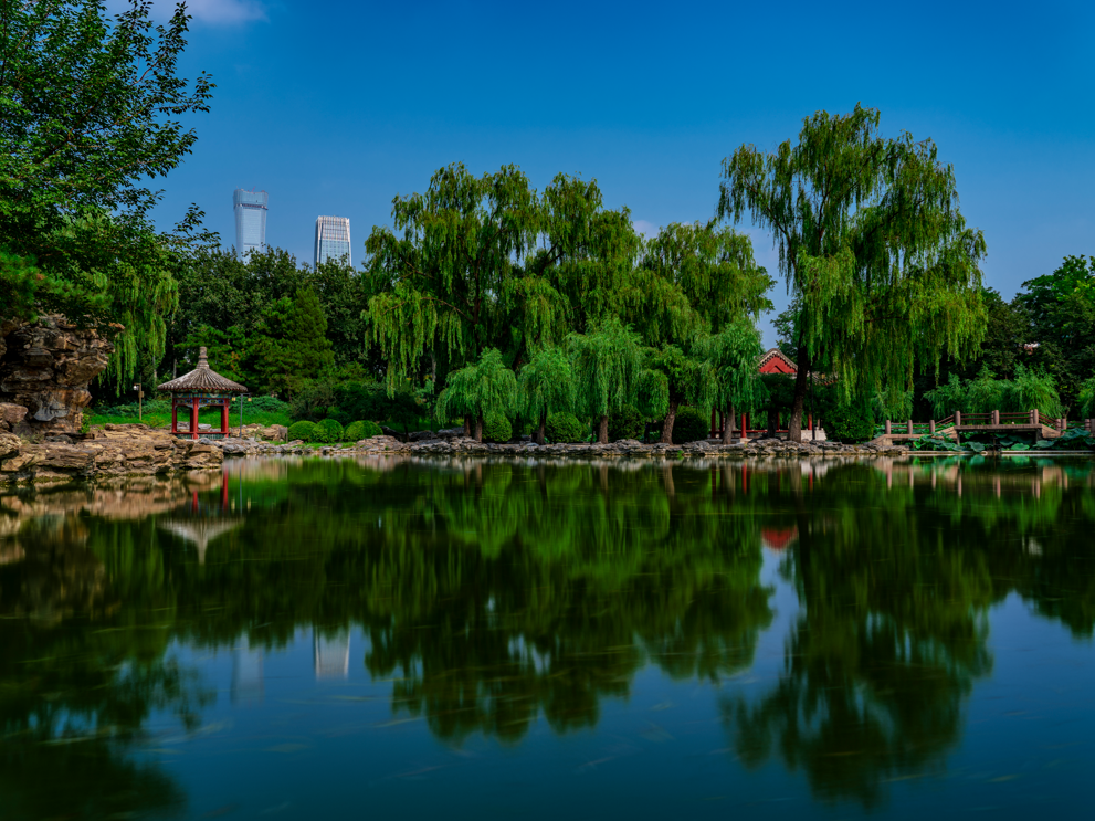 Landscape by lake in Ritan Park near Hotel Éclat Beijing