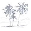Three coconut trees on a beach with ocean and clouds in the background at TokaToka Resort Nadi Fiji نادي